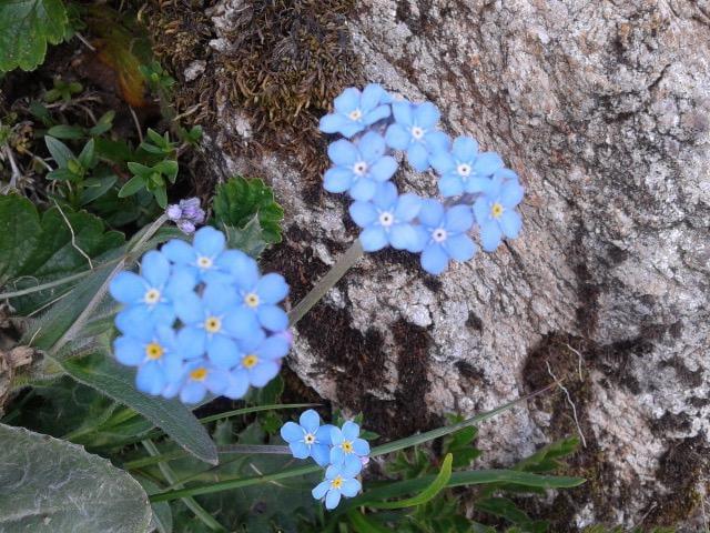 Appartamento Les Jumeaux Breuil-Cervinia Kültér fotó
